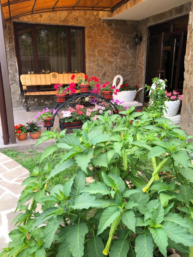 Гостевой Дом Siella Hotel Sukhumi Exterior foto
